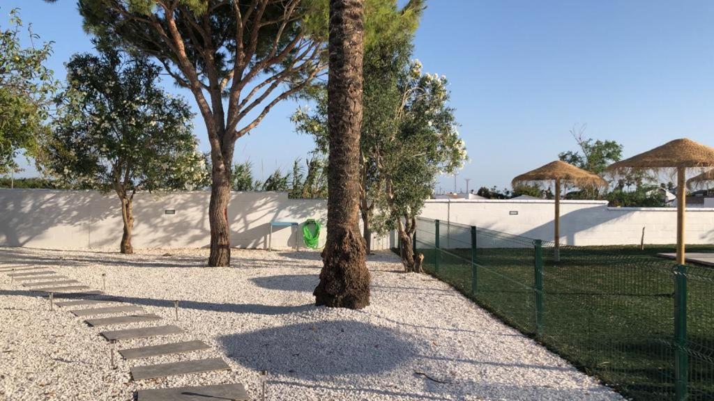 Villas Santa Ana Conil De La Frontera Eksteriør bilde